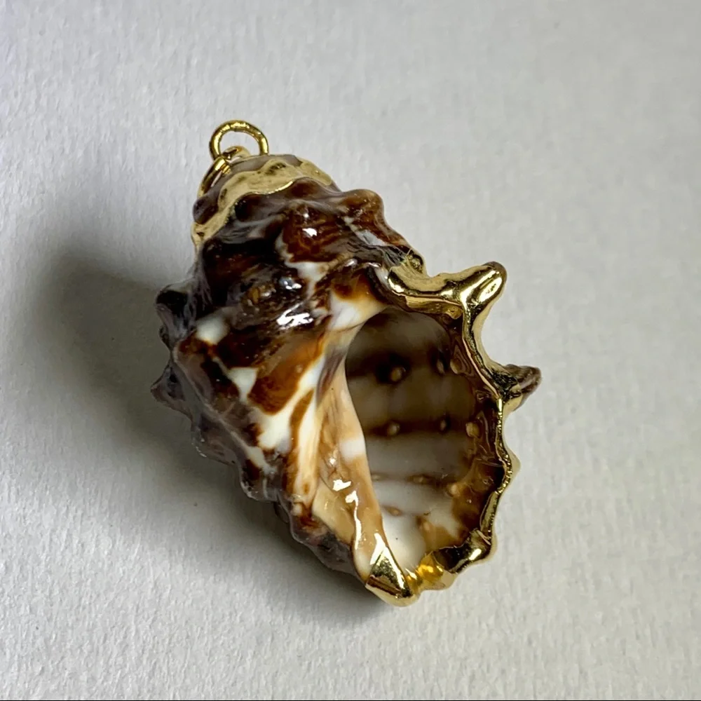 ⭐️ Gold Plated Shell ⭐️ - Picture 8 of 8
